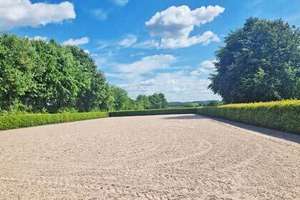 NRW, Nordrhein-Westfalen, Raum Bielefeld - gepflegte Reitanlage zu verkaufen – Die vollständige Adresse der Immobilie erhältst du vom Anbieter., 33739 Jöllenbeck, Bielefeld – Vorschaubild 6