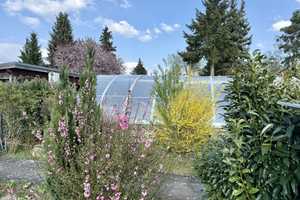 MEGA KAUFPREIS | Massives EINFAMILIENHAUS mit POOL zum sanieren und modernisieren- PROVISIONSFREI! – Barnim (Kreis) – Vorschaubild 7