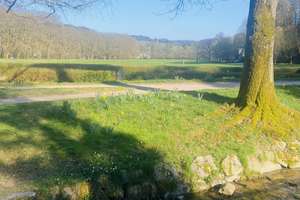 TOP ANGEBOT Traumhafte Villa mit Pool in Baden Baden ! – Die vollständige Adresse der Immobilie erhältst du vom Anbieter., 76530 Lichtental mit Oberbeuern und Geroldsau, Baden-Baden – Vorschaubild 43