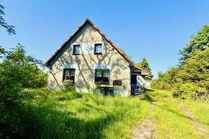 Einfamilienhaus mit Einliegerwohnung auf 1 Hektar Anwesen - für Naturliebhaber & Selbstversorger! – Märkisch-Oderland (Kreis) – Vorschaubild 5