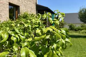 Idyllisches 1-2 Fam.-Haus + Einliegerwohnung – In nur 20 Min. in Paderborn! – Die vollständige Adresse der Immobilie erhältst du vom Anbieter., 33014 Bad Driburg – Vorschaubild 96