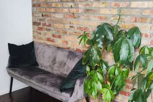Exklusives 3-Zimmer-Nebenhaus in ruhiger, naturnaher Lage mit sehr guter Verkehrsanbindung – 63071 Bieberer Berg, Offenbach am Main – Vorschaubild 25