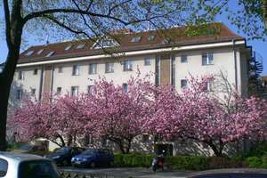 Vermietete 2,5-Zi.-Whg. Käufer-Provi-FREI | Süd-Balkon + EBK + 3.OG + neue Fenster & Elektro – Die vollständige Adresse der Immobilie erhältst du vom Anbieter., 12247 Lankwitz, Berlin – Vorschaubild 12