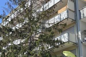 Frisch renoviert & neu möbliert | Ruhige 1-Zimmer-Wohnung mit großem Südbalkon | Maxvorstadt – Die vollständige Adresse der Immobilie erhältst du vom Anbieter., 80798 Josephsplatz, München – Vorschaubild 13