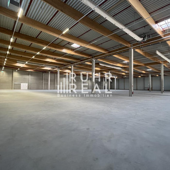 Attraktive Lagerhalle im Münsterland | 12m UKB | Rampen | Freiflächen verfügbar | RUHR REAL 