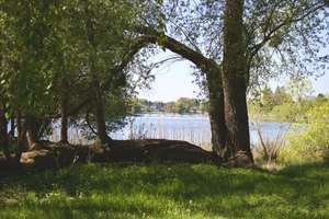 Zur Miete! Attraktives Haus am See mit großem Gartengrundstück – Die vollständige Adresse der Immobilie erhältst du vom Anbieter., 14612 Falkensee – Vorschaubild 8