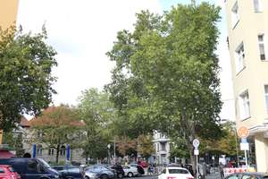 Frischsanierte möblierte Wohnung im gepflegten Altbau Wilmersdorf – Fechnerstr. 3, 10717 Wilmersdorf, Berlin – Vorschaubild 16