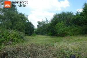 xxx-Freistehendes Einfamilienhaus auf großem Grundstück in Solingen-Wald xxx – Die vollständige Adresse der Immobilie erhältst du vom Anbieter., 42719 Wald, Solingen – Vorschaubild 3
