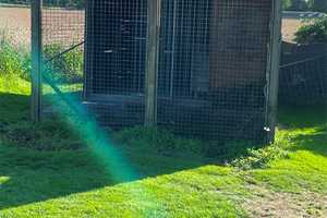 WAHNSINNS AUSBLICK: Freistehendes EFH mit Blick über Felder bis zum Deister – Hannover (Kreis) – Vorschaubild 17