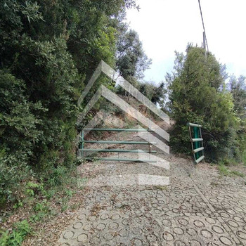 Immobilie zum Verkauf in Susqueda
