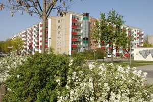 Kein Lärm von Oben – Ringenwalder Straße 37, 12679 Berlin – Vorschaubild 3