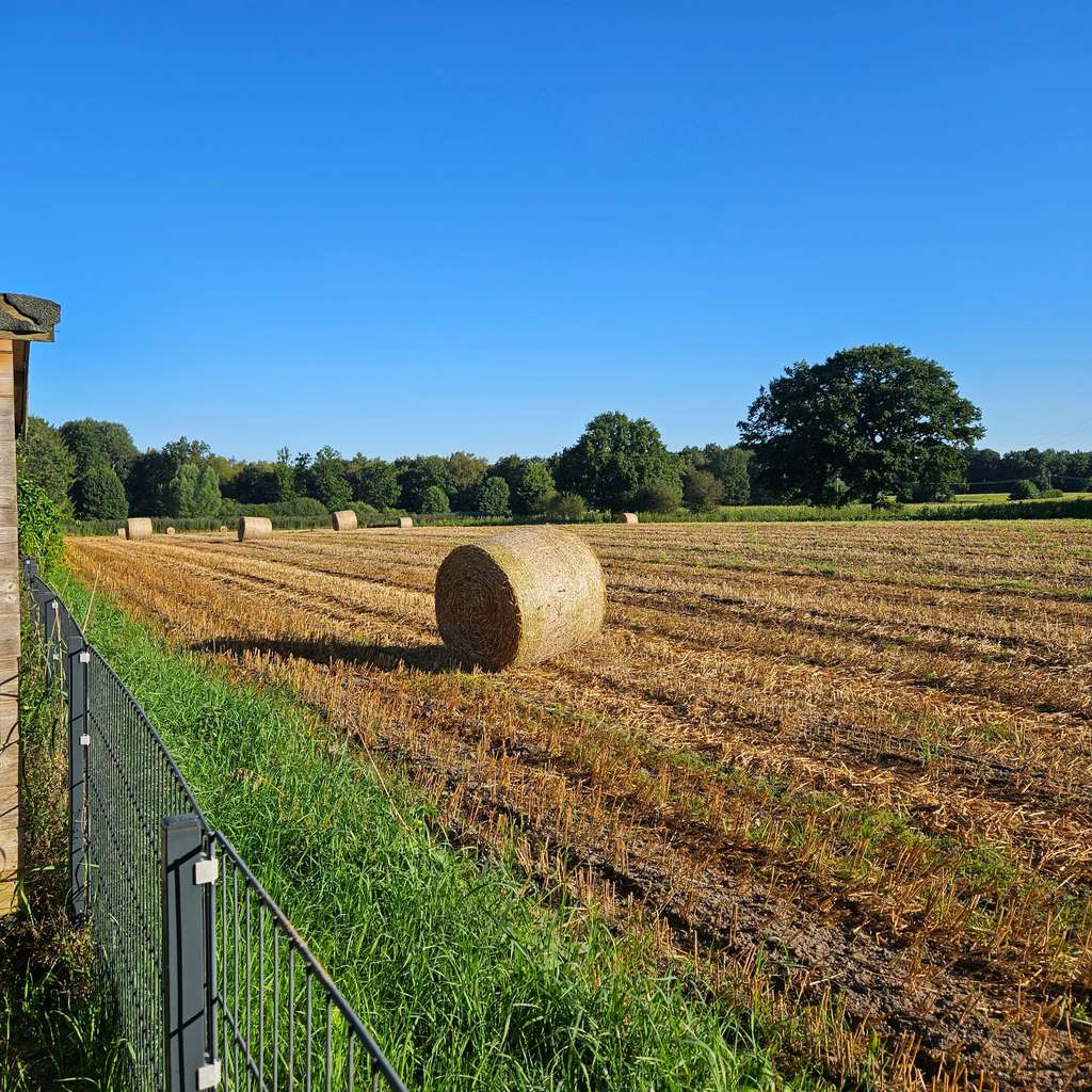 Immobilie in Nienwohld - Exklusive Doppelhaushälfte mit Einfamilienhaus-Charakter / Wohnen, Arbeiten und Leben am Feldrand - Bild 4