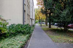 Top Lage und praktischer Grundriss - 3 Zimmer-Wohnung mit Potenzial – Buschingstraße 18, 81677 Parkstadt, München – Vorschaubild 15