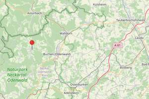 Investitionschance in Mudau: Mehrfamilienhaus mit 6 Wohneinheiten, voll vermietet – Die vollständige Adresse der Immobilie erhältst du vom Anbieter., 69427 Mudau – Vorschaubild 13
