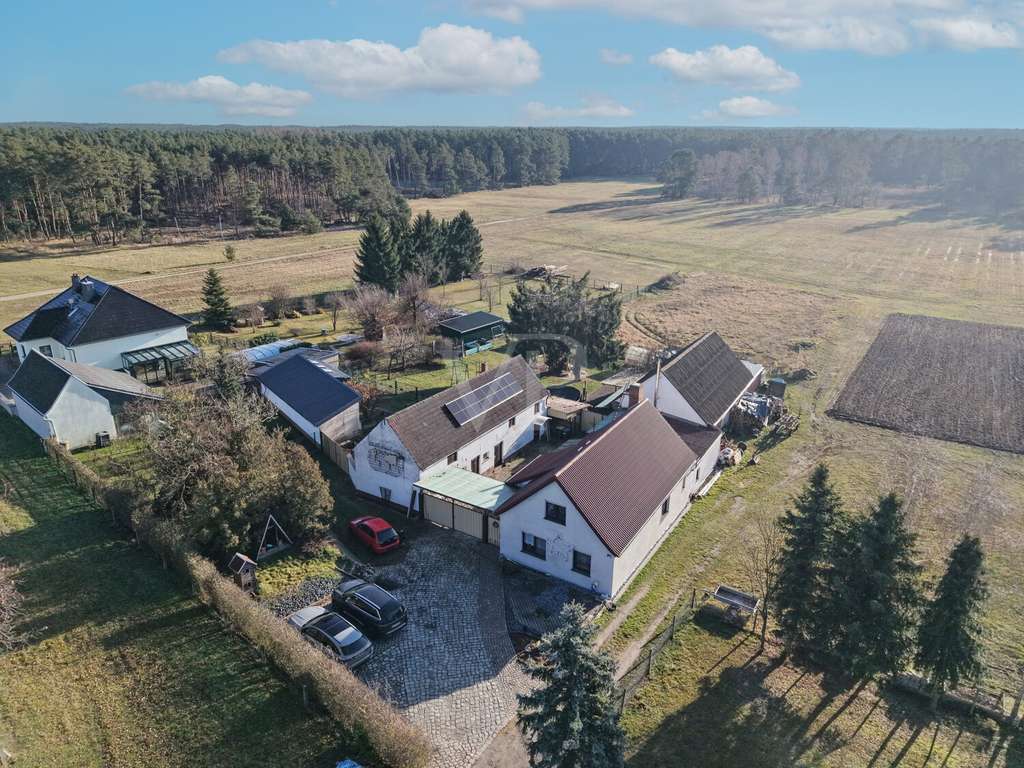 Immobilie in Doberlug-Kirchhain - Wohnkomfort in ländlicher Idylle - modernisiertes Einfamilienhaus auf großzügigen Grundstück - Bild 0