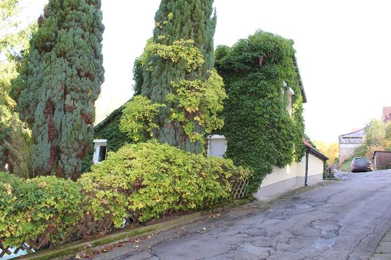Das Goethehaus, Bergstraße Kreis – Bild 2