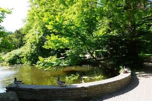 Property thumbnail 12