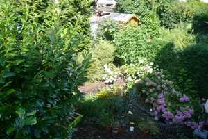 Property thumbnail 13