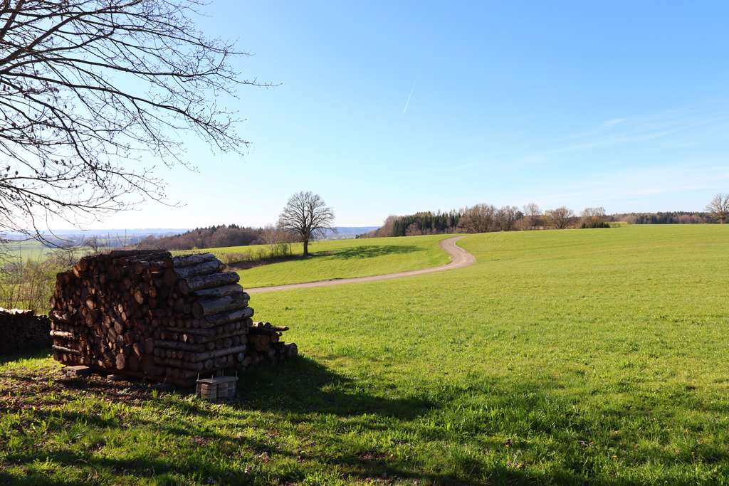 Immobilie in Oberschönegg - Ehemalige Hofstelle mit Kernsaniertem 3 Familienhaus!!! - Bild 0