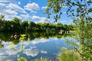 Property thumbnail 41