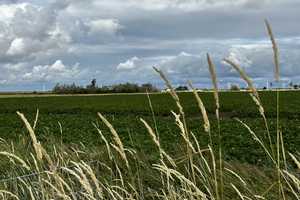 Charmantes Ferienhaus direkt am Nordseedeich - von Privat – Dithmarschen (Kreis) – Vorschaubild 30