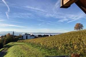 Haus mit traumhafter See-, Alpen-, Fern- und Sternsicht – Die vollständige Adresse der Immobilie erhältst du vom Anbieter., 88709 Meersburg – Vorschaubild 15