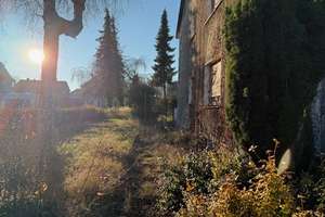 Wo Träume Wurzeln schlagen:  3-Fam.-Haus mit Garten, Terrasse, Balkon und 2 Garagen! – Die vollständige Adresse der Immobilie erhältst du vom Anbieter., 45731 Waltrop – Vorschaubild 9