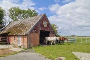 Charmantes Reetdach-Anwesen nahe der Elbe 
- Wohnen, Ferienvermietung & Pferdehaltung auf 10.480 m² – Die vollständige Adresse der Immobilie erhältst du vom Anbieter., 25599 Wewelsfleth – Vorschaubild 22