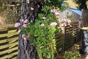 Property thumbnail 25