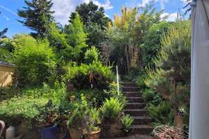 Schönes Reiheneckhaus mit großem romantischem Garten und großzügiger Garage in zentrumsnaher Lage  – Main-Tauber-Kreis – Vorschaubild 6