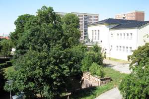 Schöne 3 Zi-Wohnung mit Balkon, Laminat, off. Küche, Wannenbad in der südl. Innenstadt – Beyschlagstraße 29, 6110 Südliche Innenstadt, Halle (Saale) – Vorschaubild 13