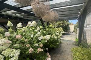 Wohnen & Leben mit Herz-ein Zuhause zum Ankommen mit viel Platz für Ihre Wohnträume&Gartenparadies – Die vollständige Adresse der Immobilie erhältst du vom Anbieter., 3130 Spremberg – Vorschaubild 9
