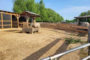 Familientraum mit Wellnessfaktor auf Pferdehof! Kamin • Sauna • Jacuzzi • Pool • Gästehaus – Die vollständige Adresse der Immobilie erhältst du vom Anbieter., 14624 Dallgow-Döberitz – Vorschaubild 31
