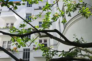 Bezugsfrei ab August 2026-Tolle 5,5 Zi.-Maisonette Whg. sucht.....