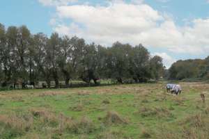 Property thumbnail 20