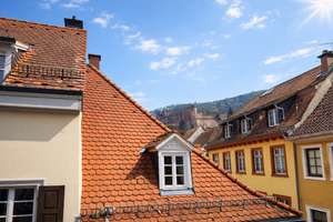 Erstbezug nach Sanierung im Herzen der Heidelberger Altstadt: 1 Zimmer Apartment für Studenten – Die vollständige Adresse der Immobilie erhältst du vom Anbieter., 69117 Altstadt, Heidelberg – Vorschaubild 3