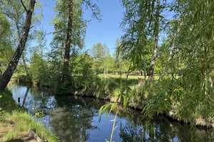 Exklusives Freizeitgrundstück – Einzigartiges Naturidyll direkt am Fließ – Spree-Neiße (Kreis) – Vorschaubild 10