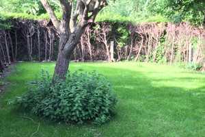 Reihenendhaus wurde wach geküsst – Esslingen (Kreis) – Vorschaubild 28