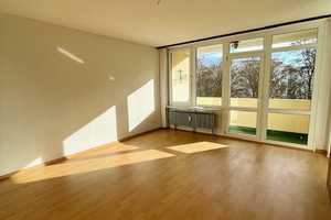 Komplett renovierte helle moderne Wohnung – Bitterfelder Weg 5, 68309 Mannheim – Vorschaubild 1