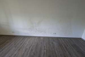 Helle 3,5 Raum Wohnung mit Balkon und Aufzug in Gelsenkirchen – Plutostr. 74, 45888 Bulmke-Hüllen, Gelsenkirchen – Vorschaubild 12