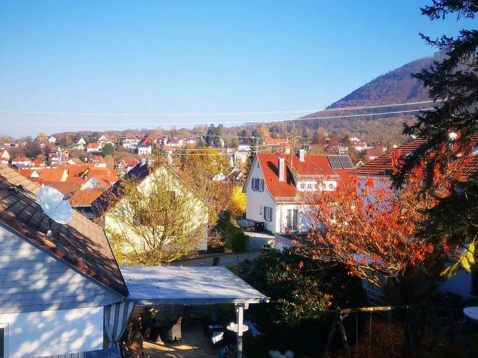 Burg - Neuffen