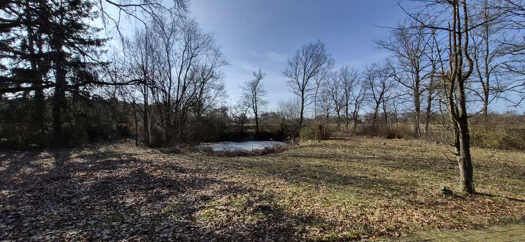 Immobilie in Dannenberg - Geräumiges 1-2 Familienhaus mit PV-Anlage, Fernwärme, großes Grundstück in Feldrandlage - Bild 4