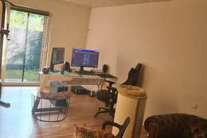 Property thumbnail 15