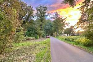 Großes Grundstück mit Altbestand in Ihausen! – Ammerland (Kreis) – Vorschaubild 16