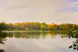 Property thumbnail 12