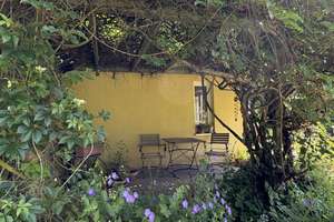 Solides Einfamilienhaus mit großem Grundstück in Ortsrandlage von Warburg-Germete – Die vollständige Adresse der Immobilie erhältst du vom Anbieter., 34414 Warburg – Vorschaubild 10