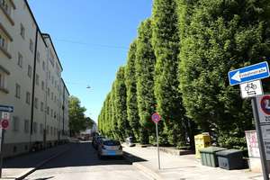 Provisionsfrei am Rotkreuzplatz – sofort bezugsbereit – Schluderstraße 37, 80634 Neuhausen, München – Vorschaubild 31