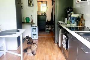 ***Attraktive, helle 2 ZKB- Wohnung in zentraler Lage*** – Bismarckring 17, 65183 Westend / Bleichstraße, Wiesbaden – Vorschaubild 9