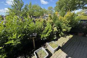 Gepflegte 2,5-Zimmer-Wohnung in Oberhausen mit 100 qm Garten und Tiefgaragenstellplatz – Ferdinand Straße 64, 46147 Sterkrade-Nord, Oberhausen – Vorschaubild 12