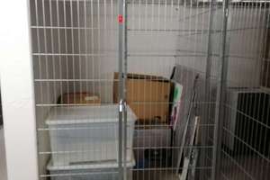Großzügige Fünf-Zimmer-Wohnung mit Kamin, Concierge, Fitnessraum und Aufzug – Scharnhorststr.  6, 10115 Mitte (Ortsteil), Berlin – Vorschaubild 20